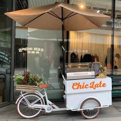 IJscreme Food Push Cart Fiets met vriezer 70kg 220*87*240cmcm