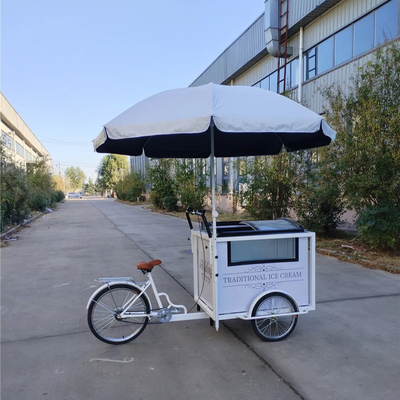 220*87*240 cm ijsfiets met vriezer en handige bediening