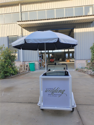 Snack Food IJs Cream Push Cart Driewieler Op maat gemaakte kookapparatuur met wielen