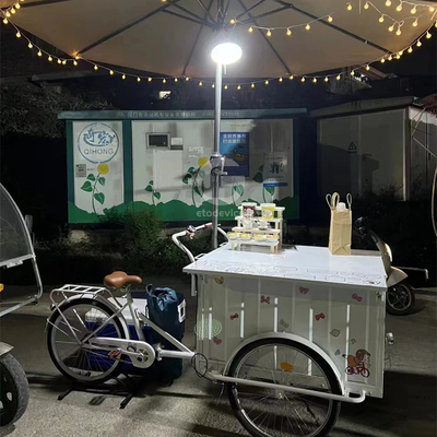 200 kg capaciteit aangepast kleur Fast Food Cart Fiets Elektrische Voedsel IJs Truck