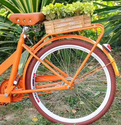 Australië Scooter Food Cart Driewieler met sojabonen materiaal en compacte grootte