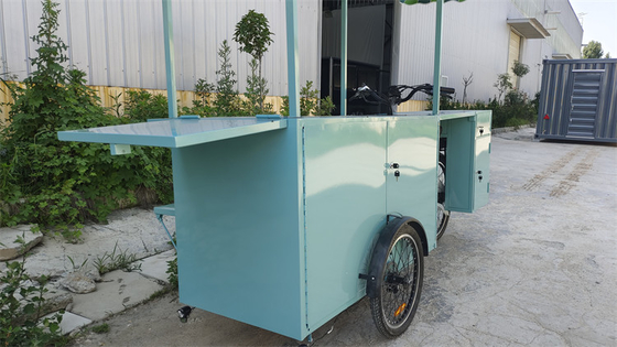 Op maat gemaakte spannings driewielers fiets Container Voedseltruck met 0-10000 Spanning