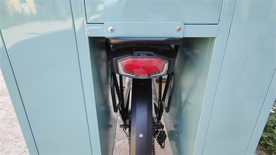 Op maat gemaakte spannings driewielers fiets Container Voedseltruck met 0-10000 Spanning