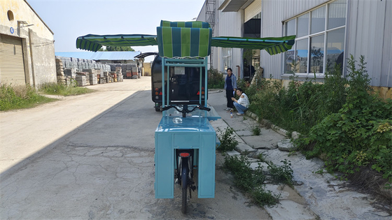 Europe Standard Food Tricycle Bike Tricycle Mobile Food Cart voor een hoge productiviteit