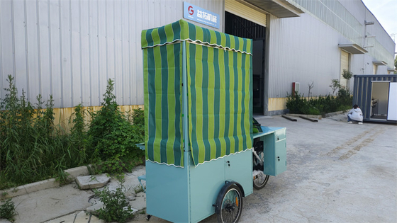Volledige Keuken Elektrische Voedsel IJs Truck driewieler voor vracht Uw perfecte keuze