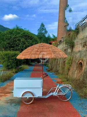 3 wielen ijsfiets driewiel mobiele voedselmandje met elke kleur variatie selectie