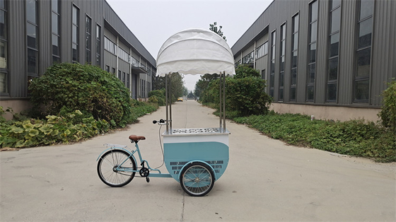 Direct leveren Vriesfiets voor ijs Customized Color Mobile Food Trucks