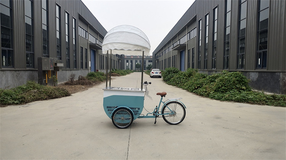 Direct leveren Vriesfiets voor ijs Customized Color Mobile Food Trucks