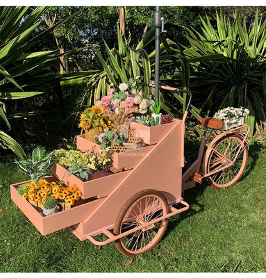 Groentenverwerkende fabriek Mobiele koffiefietskar met L200.00cm*W95.00cm*H110.00cm