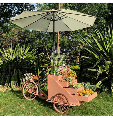 Groentenverwerkende fabriek Mobiele koffiefietskar met L200.00cm*W95.00cm*H110.00cm