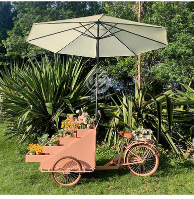 Groentenverwerkende fabriek Mobiele koffiefietskar met L200.00cm*W95.00cm*H110.00cm