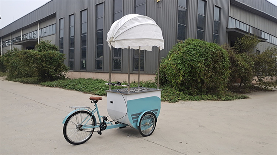 100 kg mobiele voedseltrucks Professionele productie en gemakkelijk te bedienen voor efficiëntie