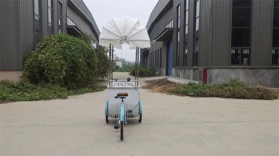 100 kg mobiele voedseltrucks Professionele productie en gemakkelijk te bedienen voor efficiëntie