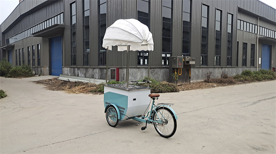 100 kg mobiele voedseltrucks Professionele productie en gemakkelijk te bedienen voor efficiëntie