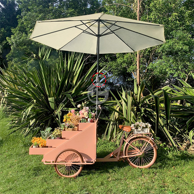 Vakantie Fast Food Equipment Food Bike Vending Truck met maatwerk Acceptabel 80kg
