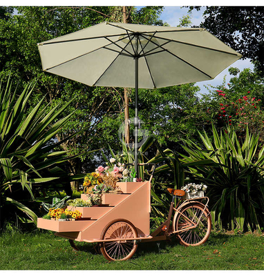 Outdoor Food Vending Cart met sojabonen en drie wielen elektrische vrachtfiets