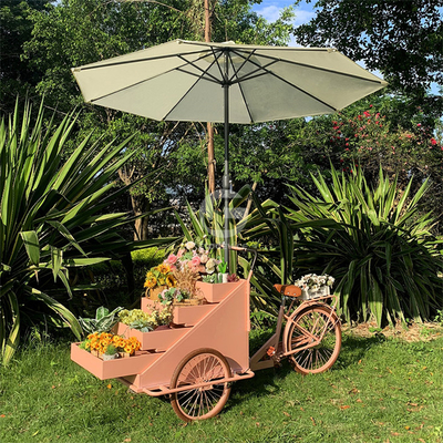 Outdoor Food Vending Cart met sojabonen en drie wielen elektrische vrachtfiets