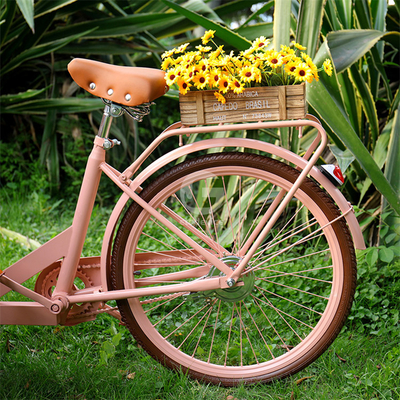 Outdoor Food Vending Cart met sojabonen en drie wielen elektrische vrachtfiets