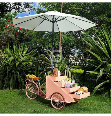 Mobiele koffiekarten met drie wielen Pizza-leveringsfiets voor outdoor straatverkoop
