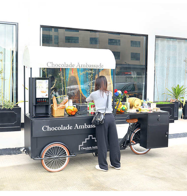 Terrainonderhoud Volledige keuken Outdoor mobiele driewiel voedseltruck voor 1-2 personen