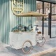 Rolling Delicacies Een wereldwijde culinaire ervaring bij de hand Driewielervoedselkarretjes