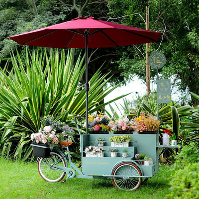 140*70*230cm Family Cargo Long Tail Bike voor outdoor straatvoedingsbedrijf of wederverkoop