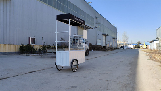 110v/220v Spanning Outdoor Fast Food Kiosk Ice Cream Bike voor outdoor snackverkoop