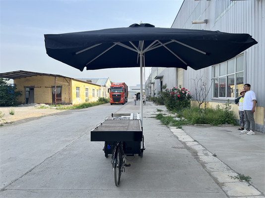 Op maat gemaakte opvouwbare mobiele fastfood driewiel voor EU-standaard vracht snack-verkoop
