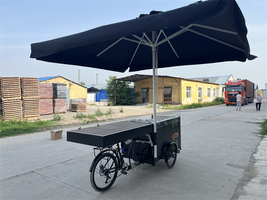 Straat driewieler opvouwbare elektrische mobiele fastfood fiets voor het serveren van dranken en snacks