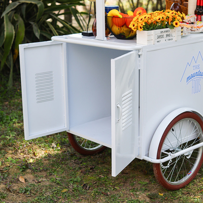 Nieuw ontwerp ijs hand push cart voor diepvries desserts