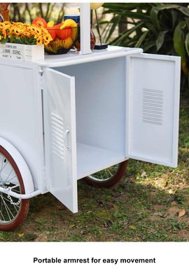 Nieuw ontwerp ijs hand push cart voor diepvries desserts