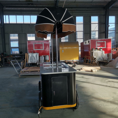 Italiaanse Gelato Fiets IJsbalk Mobiele push Popsicle Showcase Vrieskasten Vending Cart Voor buitenverkoop