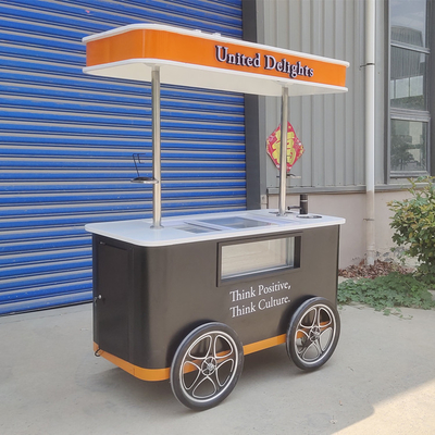 Elektrische Gelato Push Food Hand Push gekoelde Popsicle Beach Freezer IJsbalk