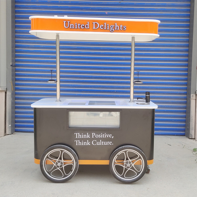 Elektrische Gelato Push Food Hand Push gekoelde Popsicle Beach Freezer IJsbalk
