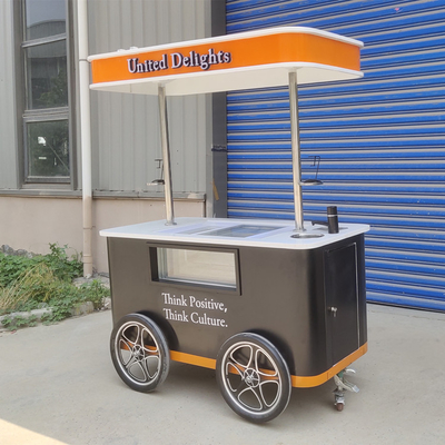 Elektrische Gelato Push Food Hand Push gekoelde Popsicle Beach Freezer IJsbalk
