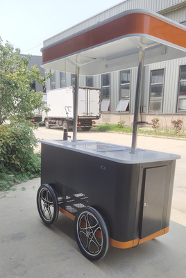 Elektrische Gelato Push Food Hand Push gekoelde Popsicle Beach Freezer IJsbalk