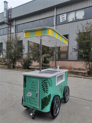 Commerciële Mini Bevroren IJssticke Display Cart Trailer Gelato Mexicaanse Beach IJssticke Vriesmachine Hand Cart Duwen Karretjes Voor Ijs
