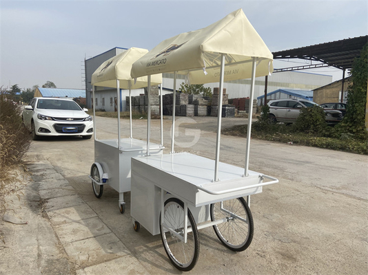 Kleine draagbare elektrische wagen Koud plaat duwen paraplu Buiten Mini Wheel Supermarkt wagen