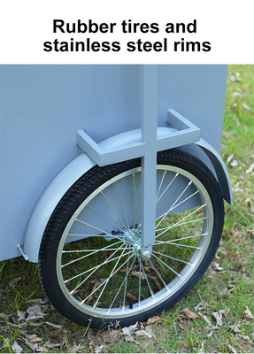 Custom 3 Wheel Cargo Bike Hand Push Cart Street Food Delivery Bike met Display Vrieskas te koop
