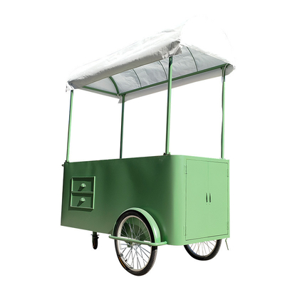 Custom 3 Wheel Cargo Bike Hand Push Cart Street Food Delivery Bike met Display Vrieskas te koop