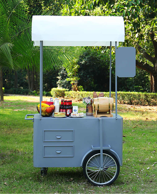 Draagbare snack voedsel hand push Cart straatverkoper Food Delivery Bike met display vriezer