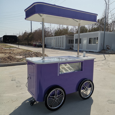 Op maat gemaakte straat snack ijsmandje vriezer mini pushmandje mobiele voedselmandjes