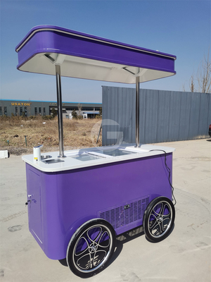 Op maat gemaakte straat snack ijsmandje vriezer mini pushmandje mobiele voedselmandjes
