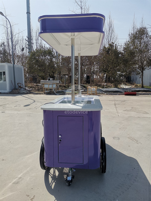 Street Application Gelato Cart Italiaans ijsmandje met Europese standaard