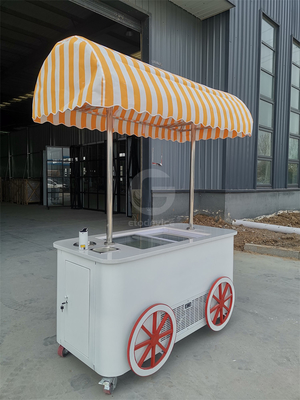 Op maat gemaakte straatkarretjes met koelkast Voedsel Push Cart Nieuwe winkel Markt Park IJsbalk