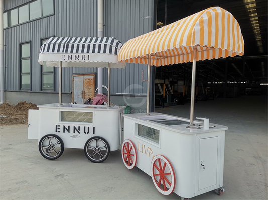 Custom IJsserijs Push Vending Cart Met Freezer Mobiele Italiaanse Gelato Trolley Cart