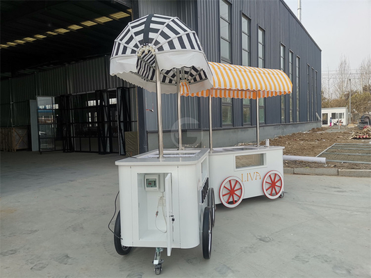Custom IJsserijs Push Vending Cart Met Freezer Mobiele Italiaanse Gelato Trolley Cart