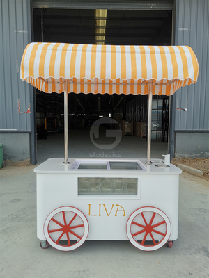 Custom IJsserijs Push Vending Cart Met Freezer Mobiele Italiaanse Gelato Trolley Cart