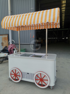 Custom IJsserijs Push Vending Cart Met Freezer Mobiele Italiaanse Gelato Trolley Cart