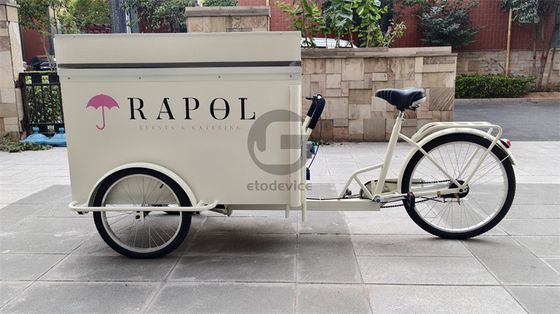 Eco-vriendelijke chique fietsen voor stedelijke hotellobbies 220V/380V